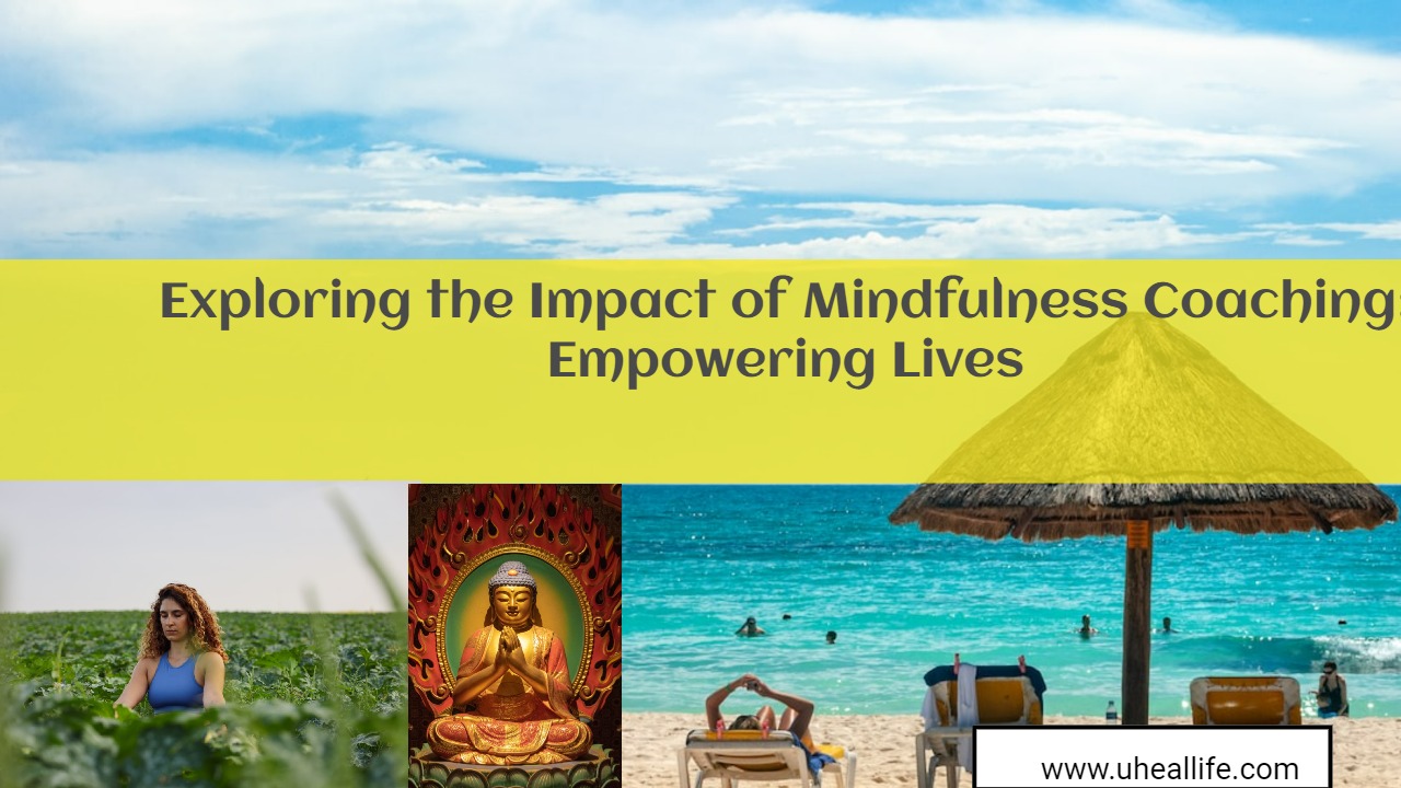 Exploring the Impact of Mindfulness Coaching: Empowering Lives