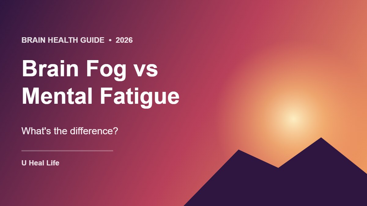 Graphic with the text Brain Fog vs Mental Fatigue: What's the difference?