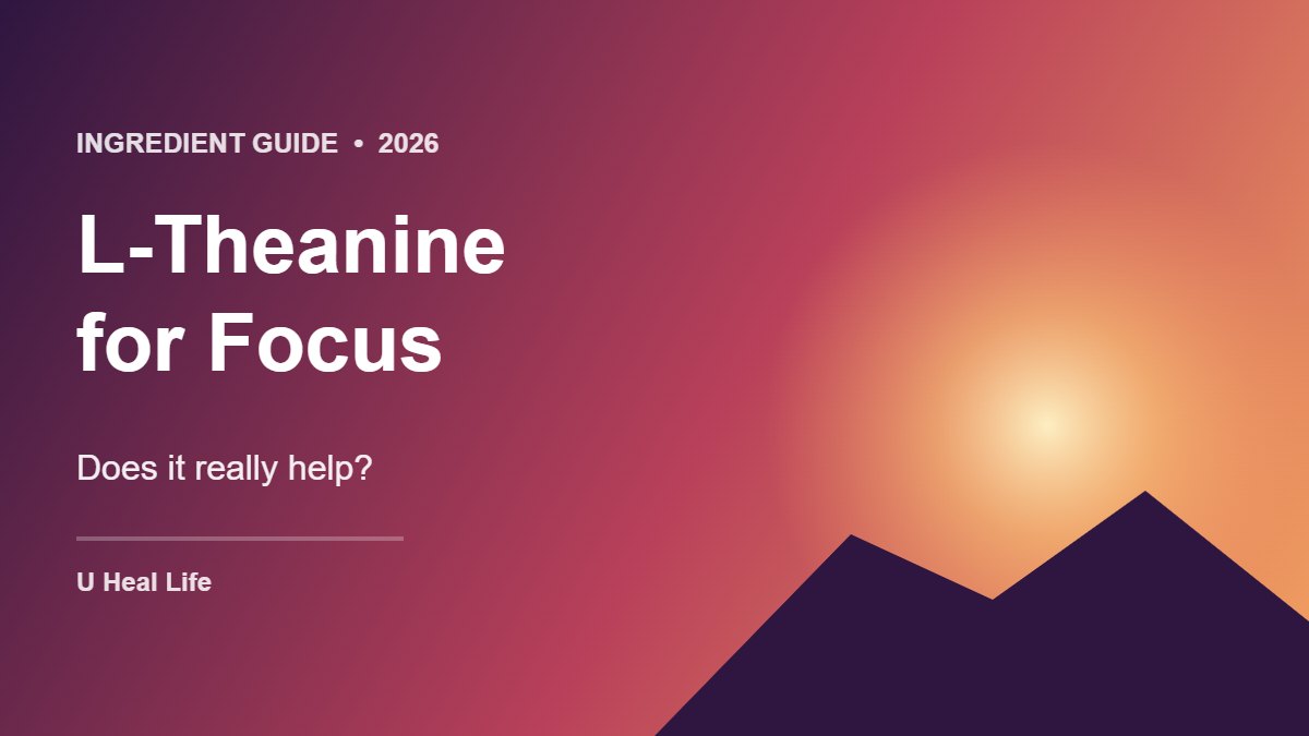 Graphic with the text L-Theanine for Focus: Does it really help?
